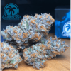 gelonade weed strain