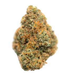 Berry White Strain