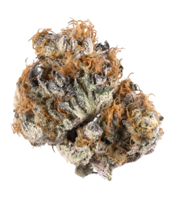 BLUEBERRY OG STRAIN