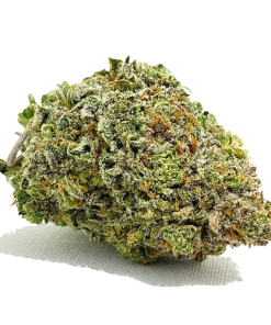Afghan Kush