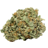 Black Domina strain