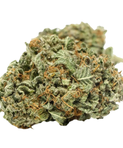 Black Domina strain