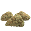 Chocolate Chunk Cannabis seeds