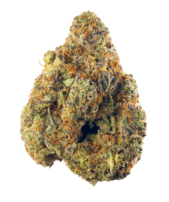 Hindu Kush Strain