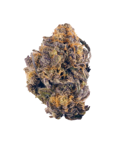 Purple Kush Cannabis UK
