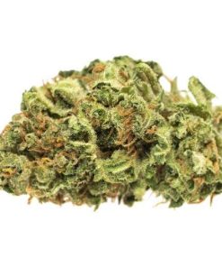 Afghan Kush Strain UK